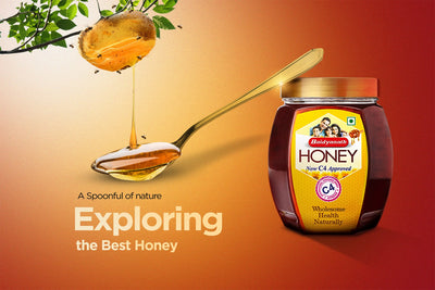 A Spoonful of Nature: Exploring the Best Honey