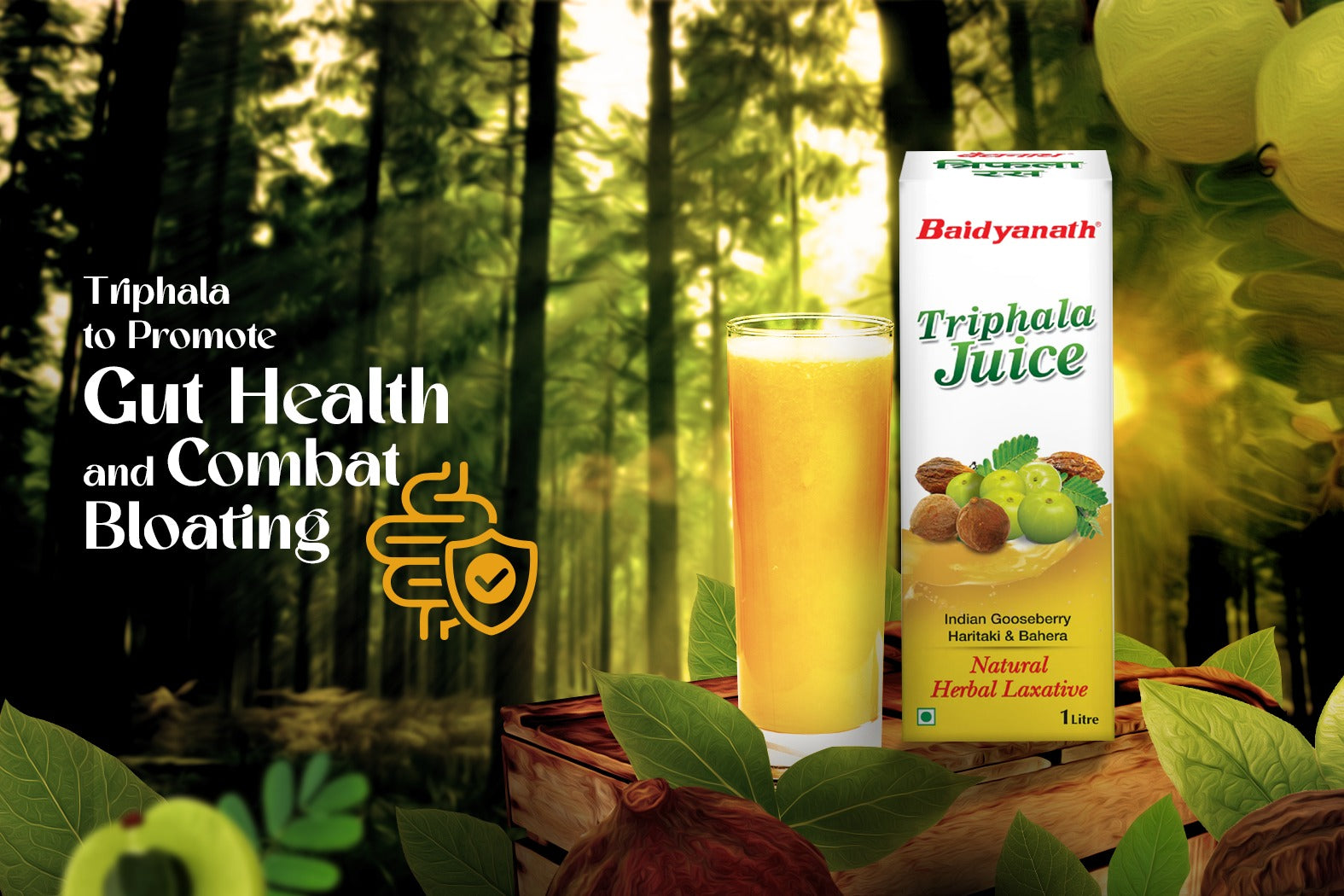 Triphala to Promote Gut Health and Combat Bloating Baidyanath Ayurved