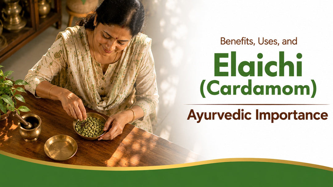 Elaichi (Cardamom): Benefits, Uses, and Ayurvedic Importance