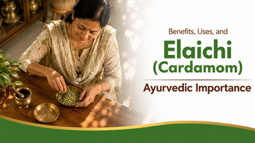 Elaichi (Cardamom): Benefits, Uses, and Ayurvedic Importance
