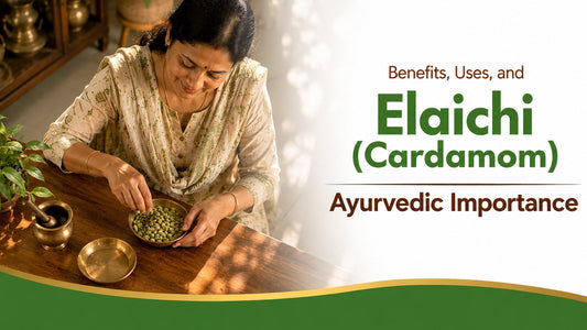 Elaichi (Cardamom): Benefits, Uses, and Ayurvedic Importance