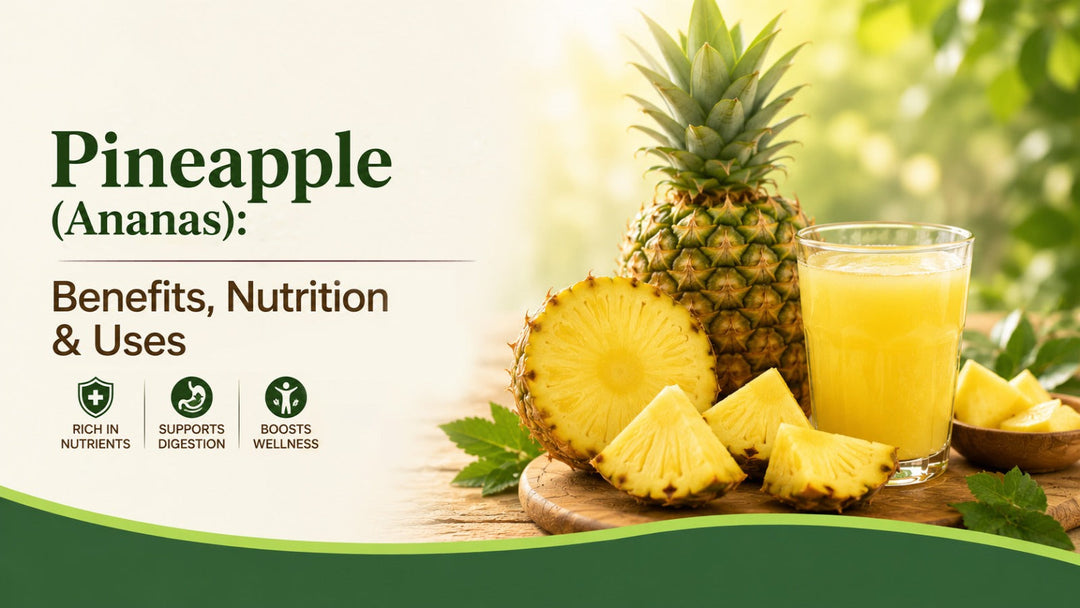 Pineapple (Ananas): Benefits, Nutrition & Uses
