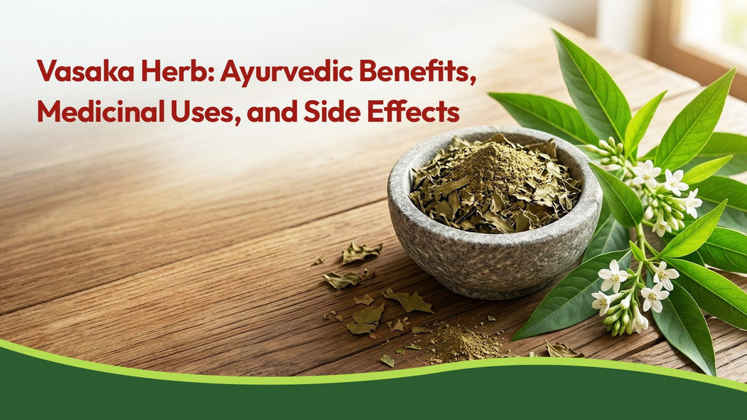 Vasaka Herb: Ayurvedic Benefits, Medicinal Uses, and Side Effects