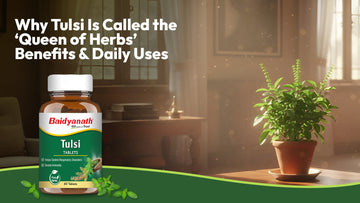 Why Tulsi Is Called the ‘Queen of Herbs’: Benefits & Daily Uses