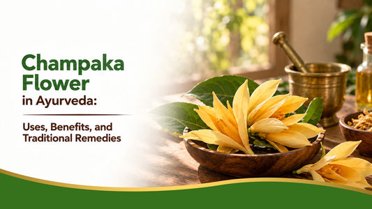 Champaka Flower in Ayurveda: Uses, Benefits, and Traditional Remedies