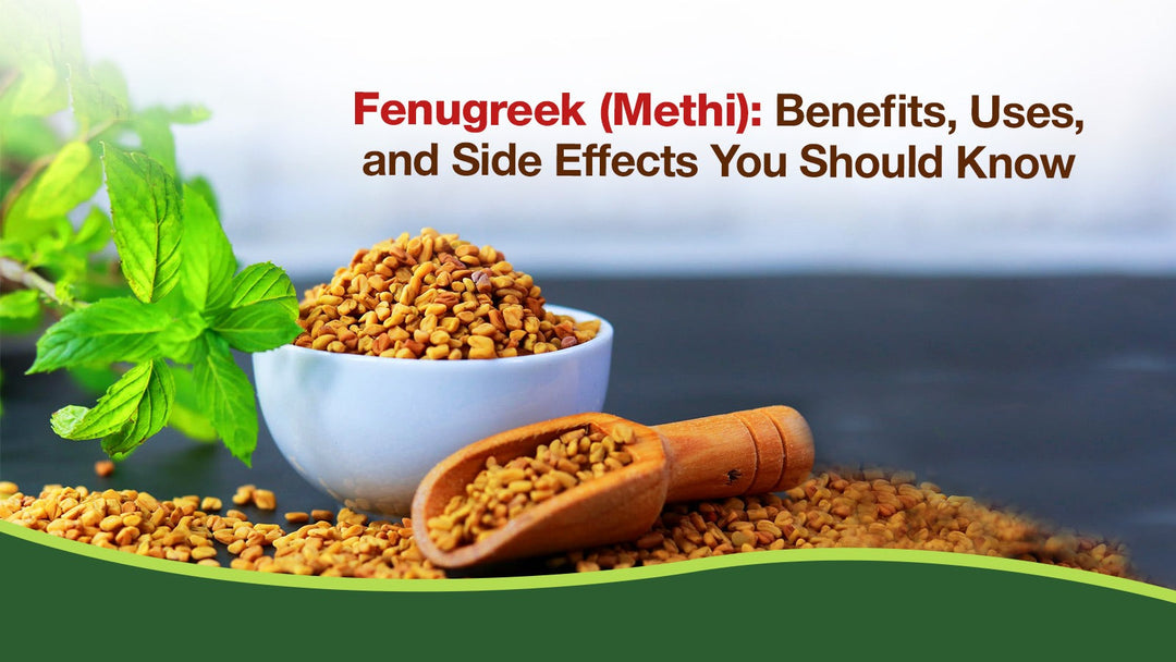 Fenugreek (Methi): Benefits, Uses, and Side Effects You Should Know