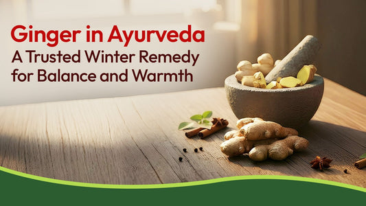 Ginger in Ayurveda: A Trusted Winter Remedy for Balance and Warmth