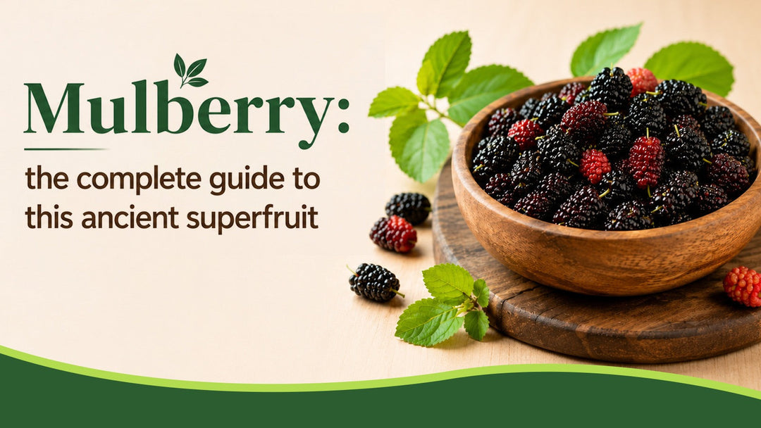 Mulberry: The Complete Guide to This Ancient Superfruit