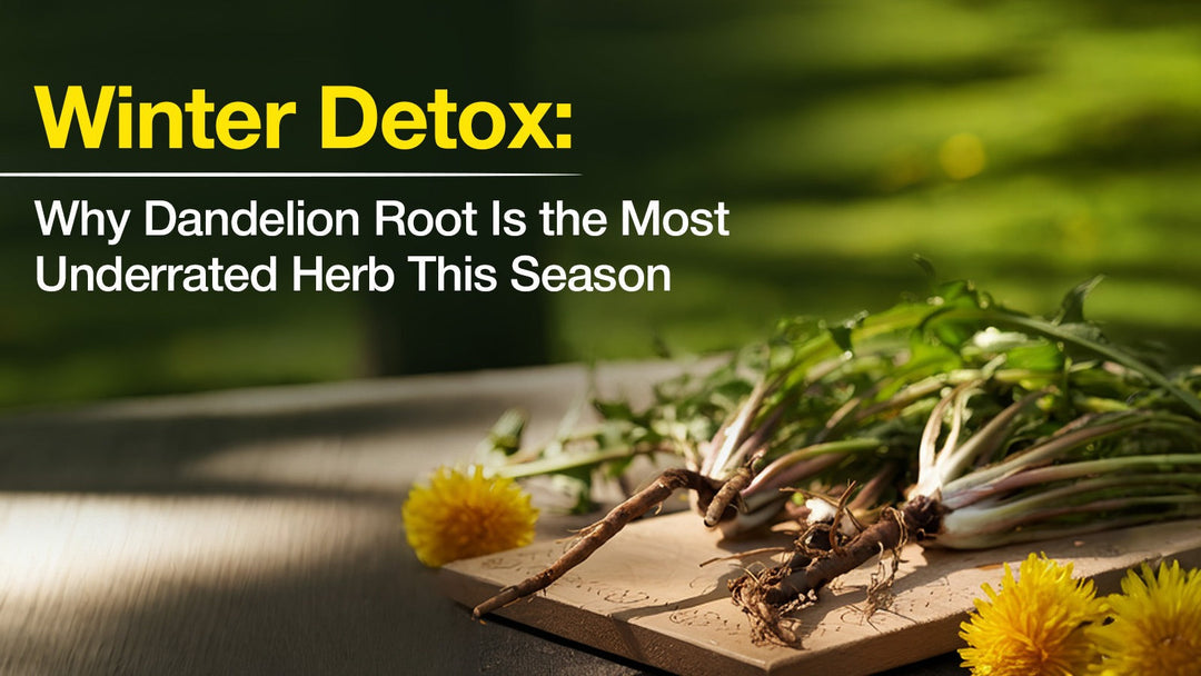 Winter Detox: Why Dandelion Root Is the Most Underrated Herb This Season