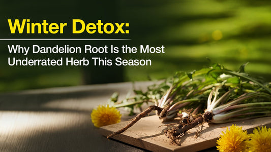 Winter Detox: Why Dandelion Root Is the Most Underrated Herb This Season