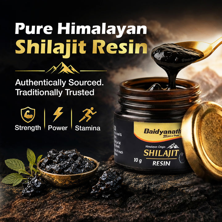 Baidyanath Himalayan Shilajit Resin| Rich in Fulvic Acid| For Strength, Power & Stamina
