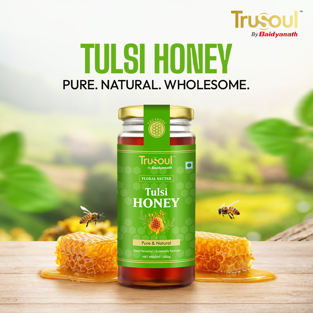 Trusoul By Baidyanath Pure & Natural Tulsi Honey- 500gm | Natural Immunity Booster | Raw & Unprocessed Honey | Forest Honey