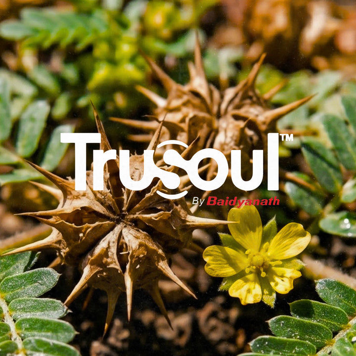 Trusoul By Baidyanath Gokshura - 60 Veg Capsules