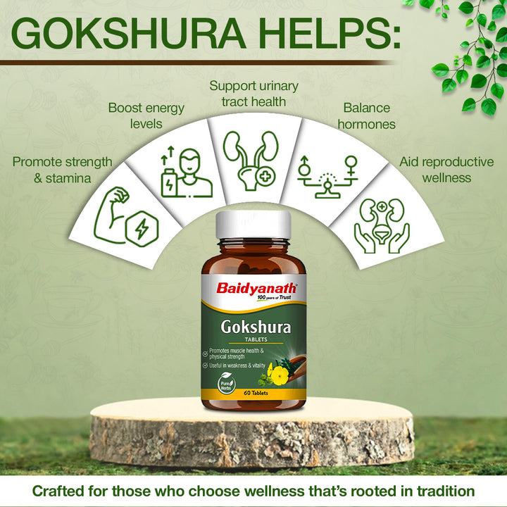 Baidyanath Gokshura Tablets-60 Tablets | Supports Strength & Vitality