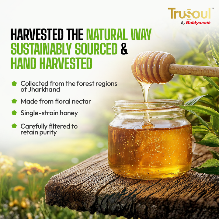 Trusoul By Baidyanath Pure & Natural Tulsi Honey- 500gm | Natural Immunity Booster | Raw & Unprocessed Honey | Forest Honey