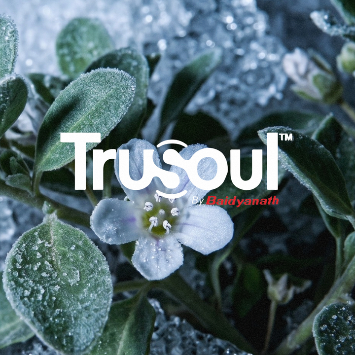 Trusoul By Baidyanath Pure Brahmi - 60 Veg Capsules