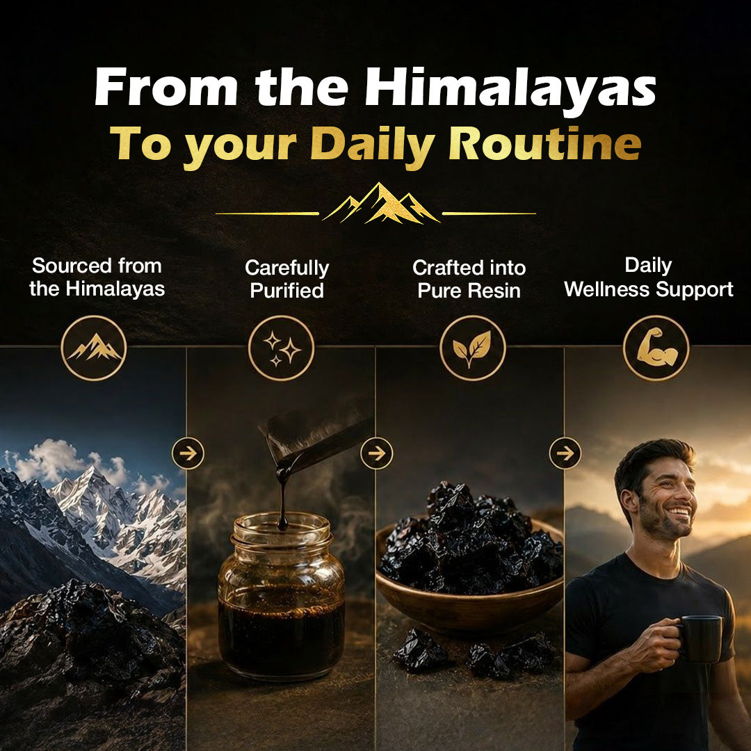 Baidyanath Himalayan Shilajit Resin| Rich in Fulvic Acid| For Strength, Power & Stamina