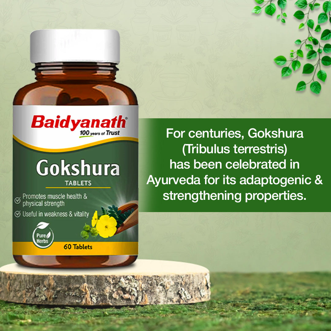 Baidyanath Gokshura Tablets-60 Tablets | Supports Strength & Vitality