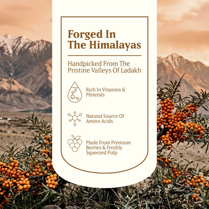 Baidyanath Sea Buckthorn Juice 500ml | Himalayan Ladakh Berry Fruit Pulp Concentrate | Rich in Omega 3, 6, 7 & 9