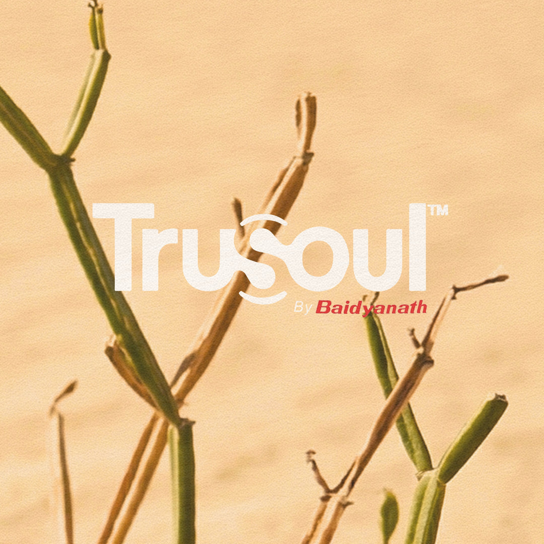 Trusoul By Baidyanath Pure Hadjod - 60 Veg Capsules