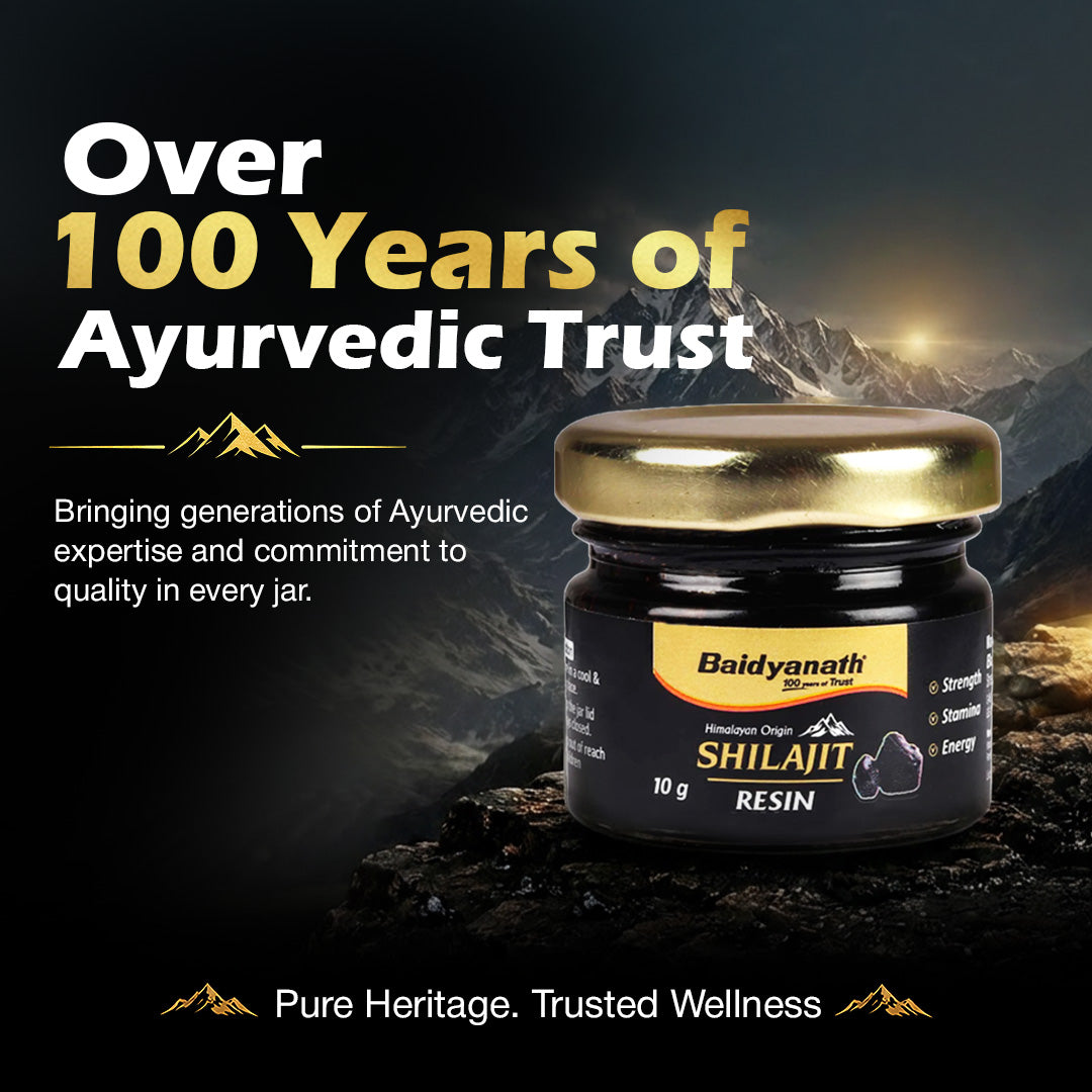 Baidyanath Himalayan Shilajit Resin| Rich in Fulvic Acid| For Strength, Power & Stamina