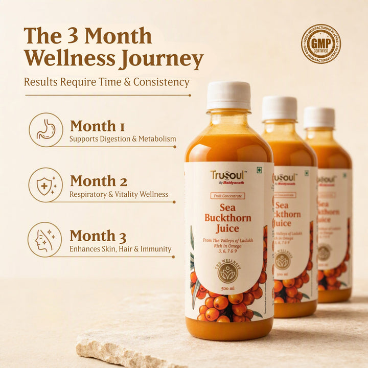 Baidyanath Sea Buckthorn Juice 500ml | Himalayan Ladakh Berry Fruit Pulp Concentrate | Rich in Omega 3, 6, 7 & 9