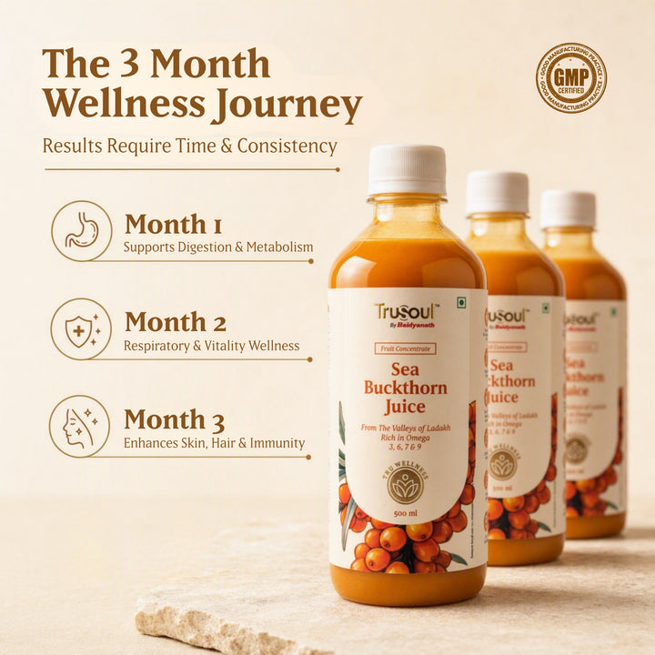 Baidyanath Sea Buckthorn Juice 500ml | Himalayan Ladakh Berry Fruit Pulp Concentrate | Rich in Omega 3, 6, 7 & 9