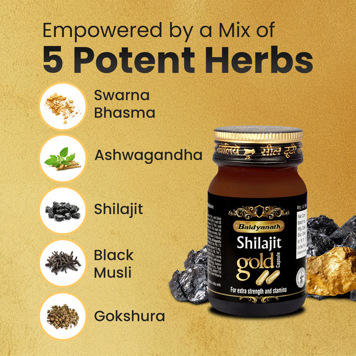 Baidyanath Shilajit Gold (10 Capsules)