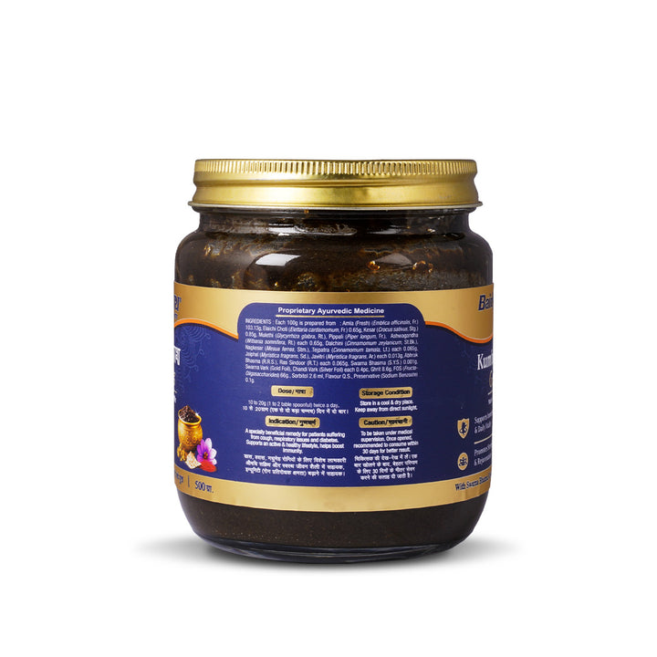 Baidyanath Chyawan Kumbhprash Premium chyawanprash Gold 500GM