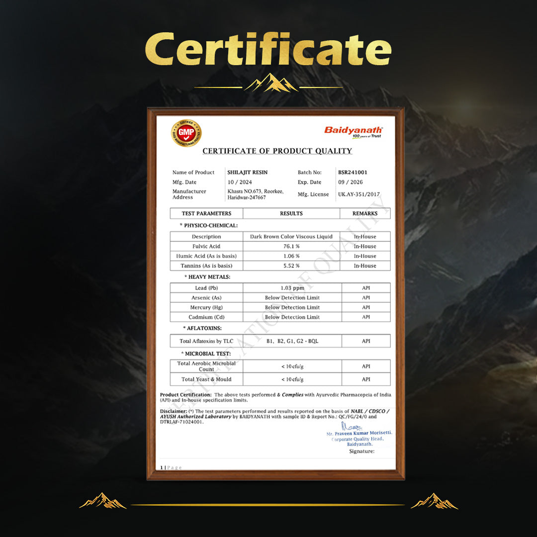 Baidyanath Himalayan Shilajit Resin| Rich in Fulvic Acid| For Strength, Power & Stamina