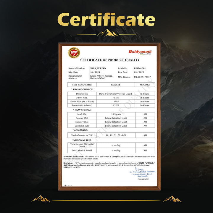 Baidyanath Himalayan Shilajit Resin| Rich in Fulvic Acid| For Strength, Power & Stamina