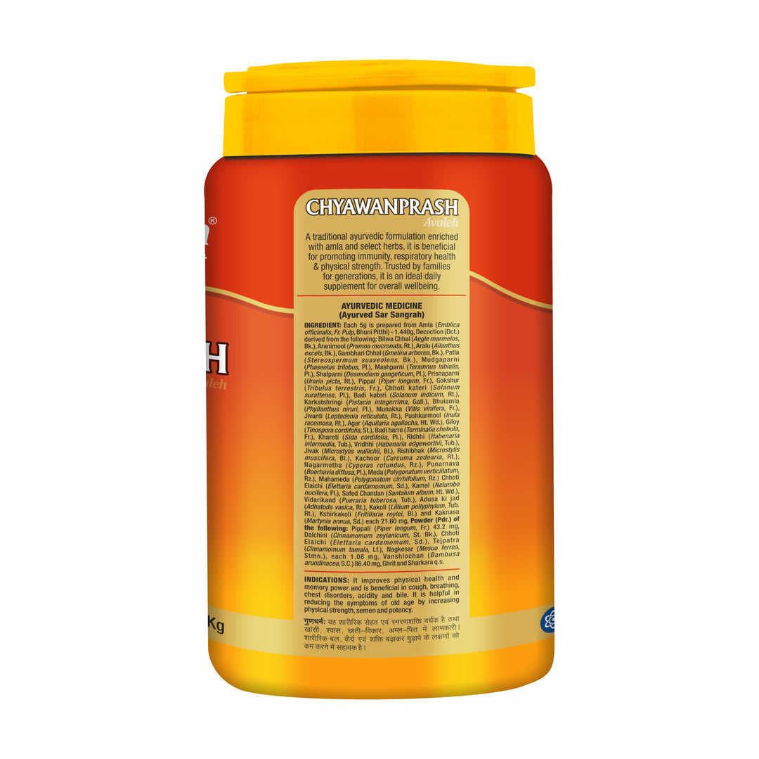 Baidyanath Ayurved Chyawanprash 2 kg