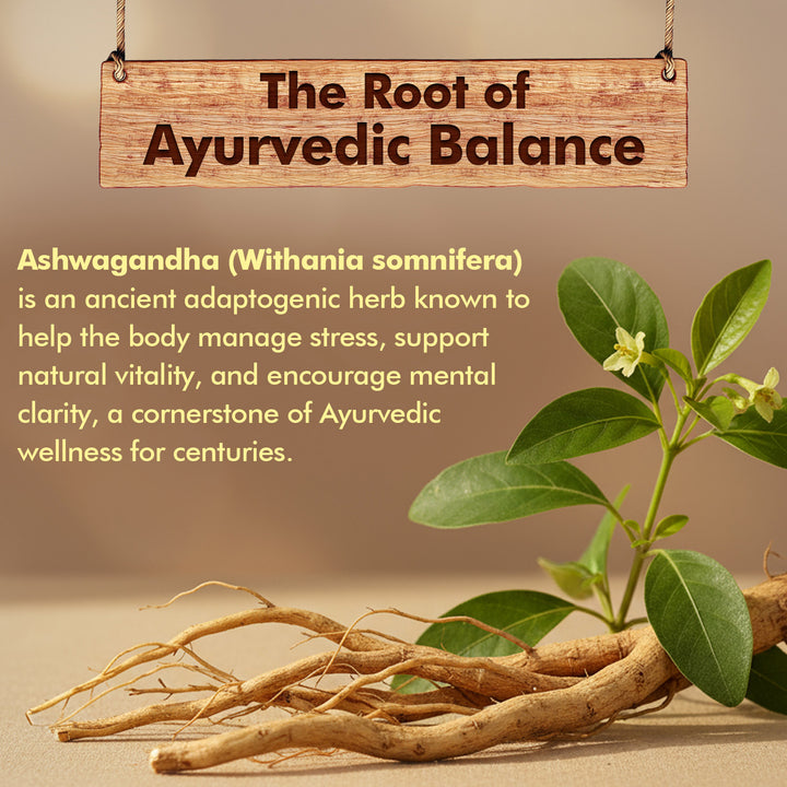 Baidyanath Ashwagandha- General Wellness Tablets (60 Tab) | Rejuvenates Mind and Body