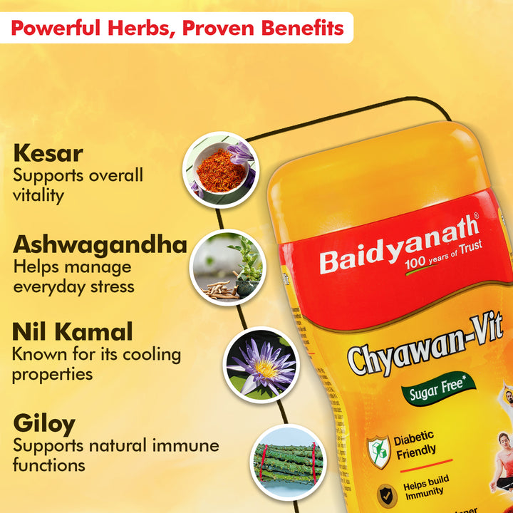 Baidyanath Sugarfree Chyawan Chyawanprash -Vit 1 Kg- With No Added Sugar- With Benefits Of Amla, Ashwagandha and Giloy| Ayurvedic Immunity Booster