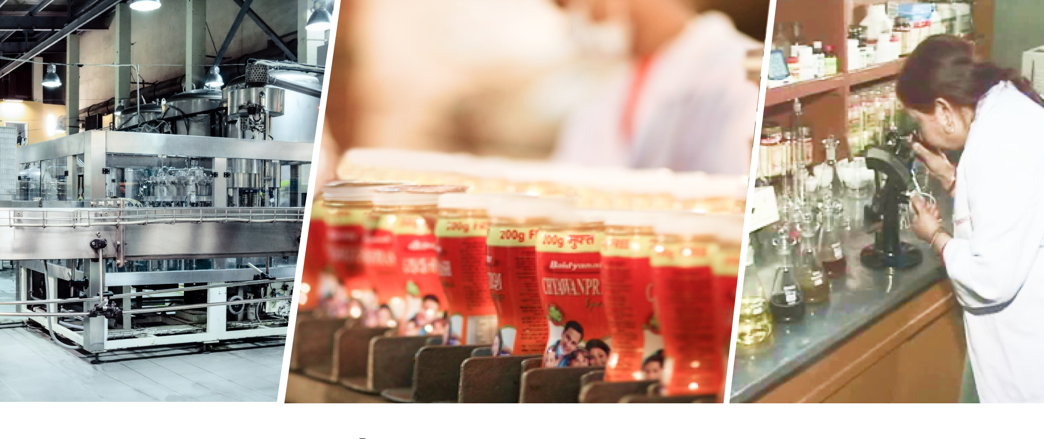 Baidyanath About Us