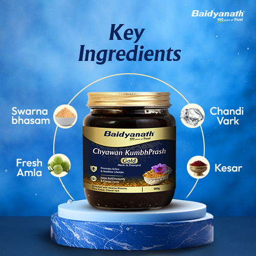 Baidyanath Chyawan Kumbhprash Premium chyawanprash Gold 500GM