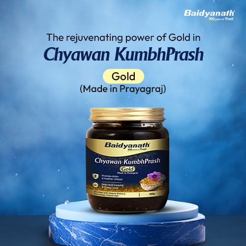 Baidyanath Chyawan Kumbhprash Premium chyawanprash Gold 500GM