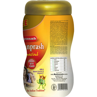 Baidyanath Chyawanprash Special 500 gm with 75 Gram Extra