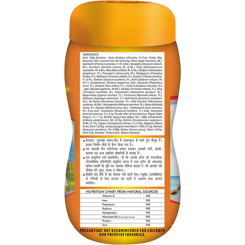 Baidyanath Sugarfree Chyawan Vit (1 kg)